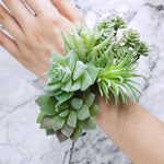 HASTHIP Artificial Plants for Home Decor with 9Pcs PVC Flocked Succulents | Indoor and Outdoor Decorations