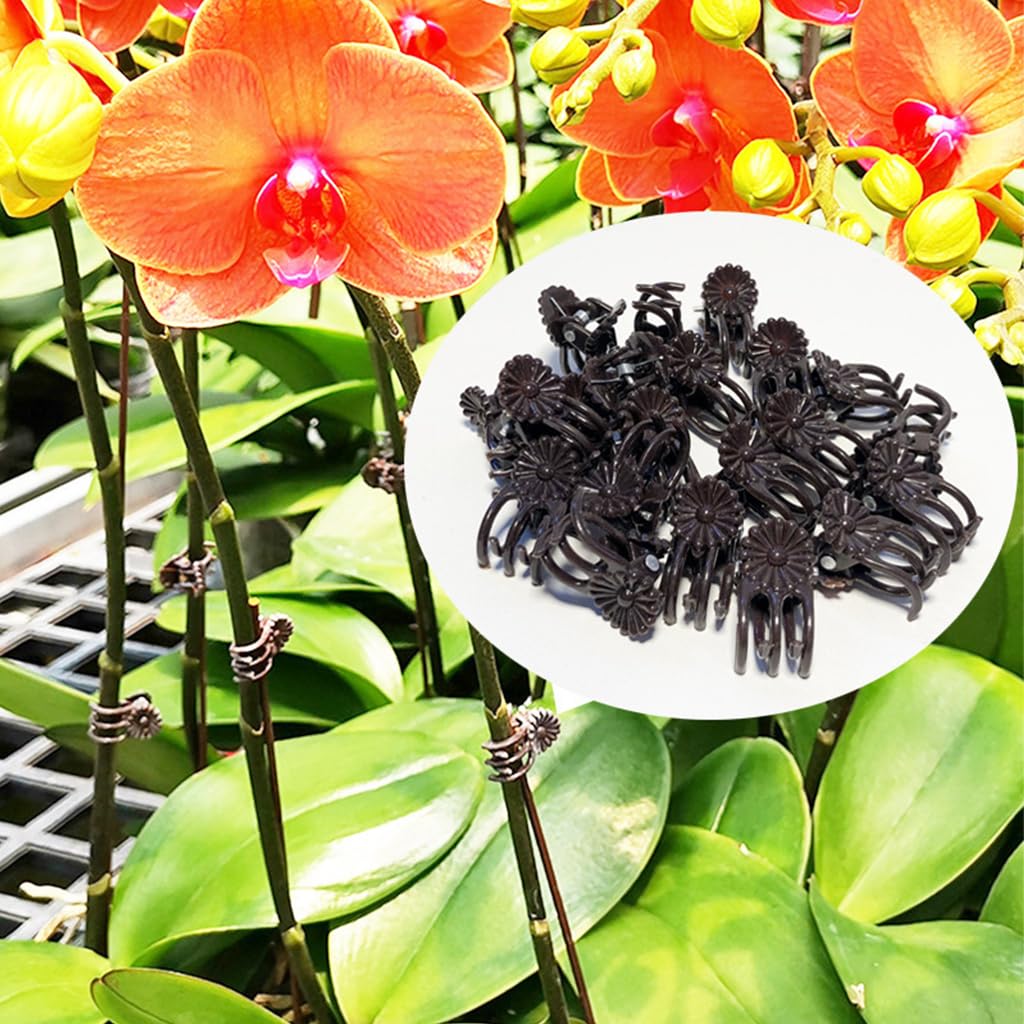 100pcs Plant Clips for Climbers, Reusable Plant Support Clips for Orchid Branch Clips Vine Clips, Trellis Clips for Vine, Vegetables, Beans, Fruits, Flower to Grow Upright and Healthier