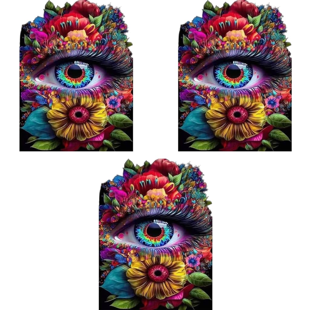 HASTHIP® Diamond Painting Kit 12x16inch Eye 5D for Adults Kids Suitable Home Leisure Wall Decoration Gift 3 PCS