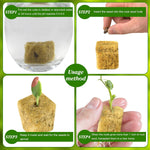 HASTHIP Seed Starter Rockwool Cubes for Hydroponics and Seedlings 100 pcs 0.98 in Cuttable Pads