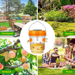 HASTHIP Wasp Trap Lamp for Fruit Trees with Solar Powered LED Light | Waterproof Hanging Bug Trap