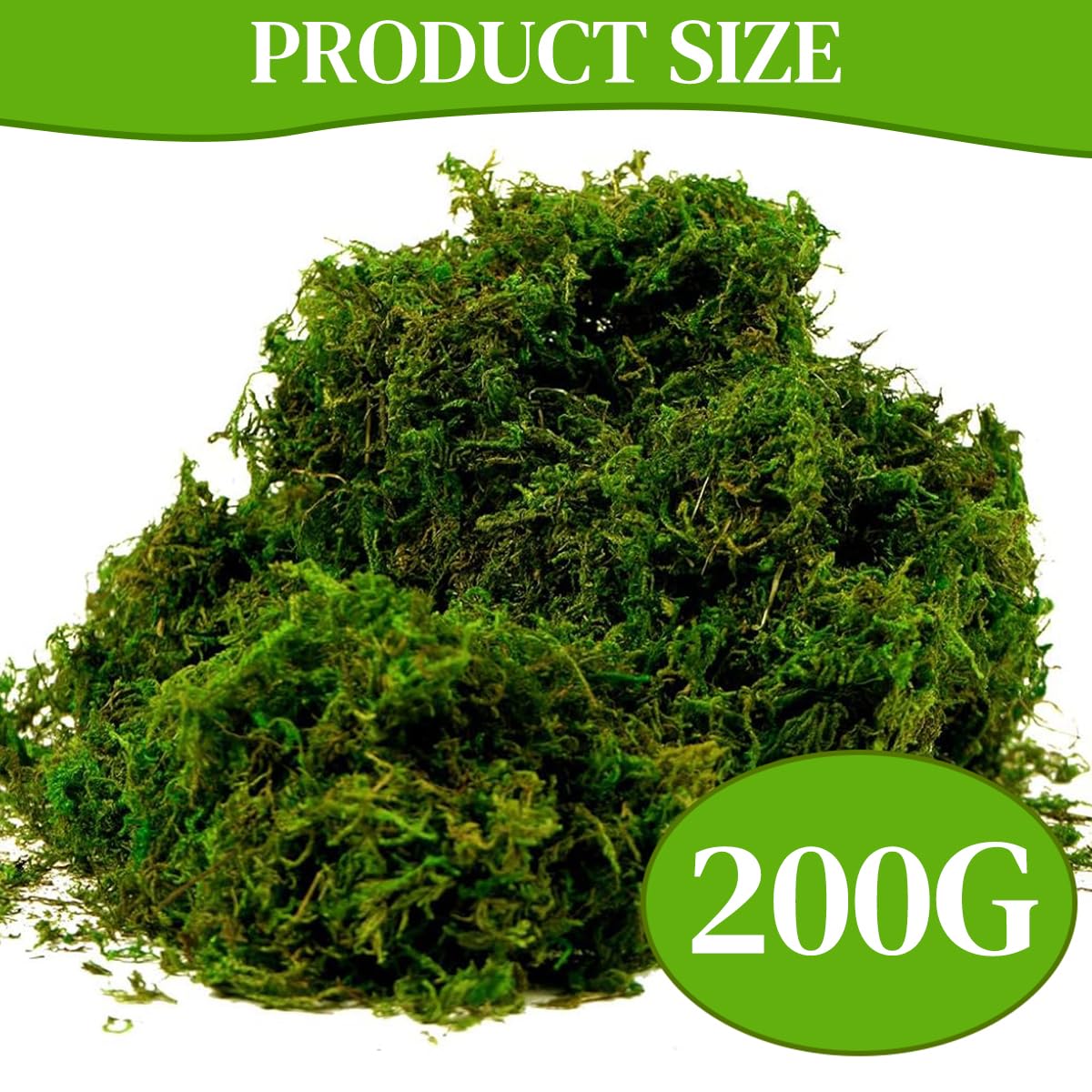 HASTHIP Realistic Moss for Planter Decoration with Lifelike Texture 200g Dark Green 2PCS