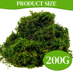 HASTHIP Realistic Moss for Planter Decoration with Lifelike Texture 200g Dark Green 2PCS