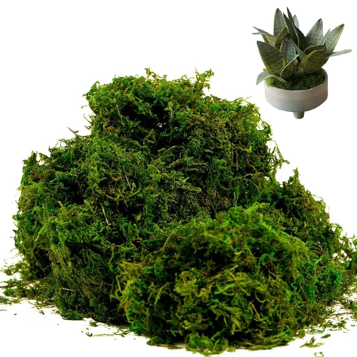 HASTHIP Realistic Moss for Planters and Miniature Gardens with 200g Dark Green Texture | Low Maintenance Decor