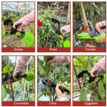 HASTHIP Plant Tying Tape for Garden and Greenhouse Use with 6 Rolls 98 ft Each | PE UV‑Resistant Material