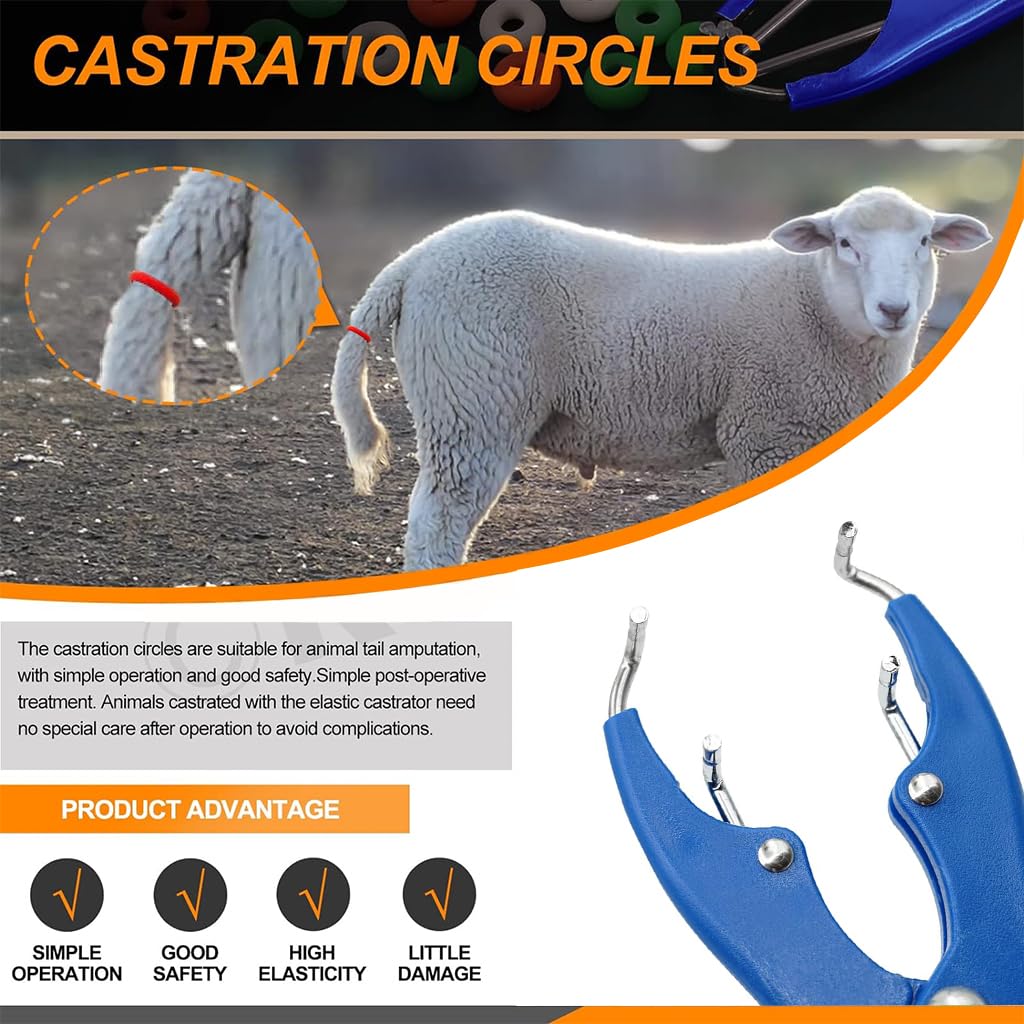 HASTHIP Livestock Castration Bander with 100 Castrator Rings featuring Metal Frame & Plastic Handles for Lambs and Piglets | 21.5cm Tail Docking Tool