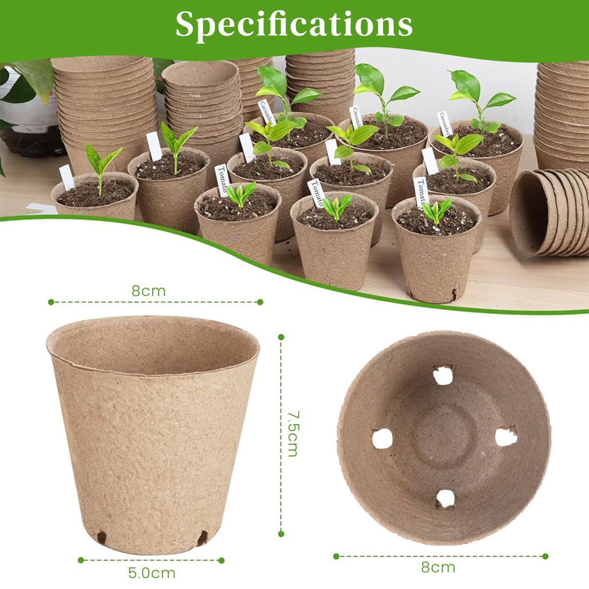 HASTHIP Nursery Seedlings Peat Pots for Garden Starters with Drainage Holes 20pcs | Organic Paper Pulp Biodegradable Cups