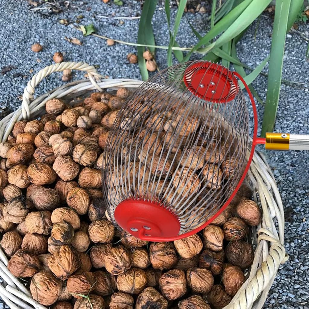 128cm Nut Collector, Fruit Picker for Walnuts, Fruits, Golfball, Tennis Ball, Telescopic Pole Labor Saving Rolling Gatherer Tool