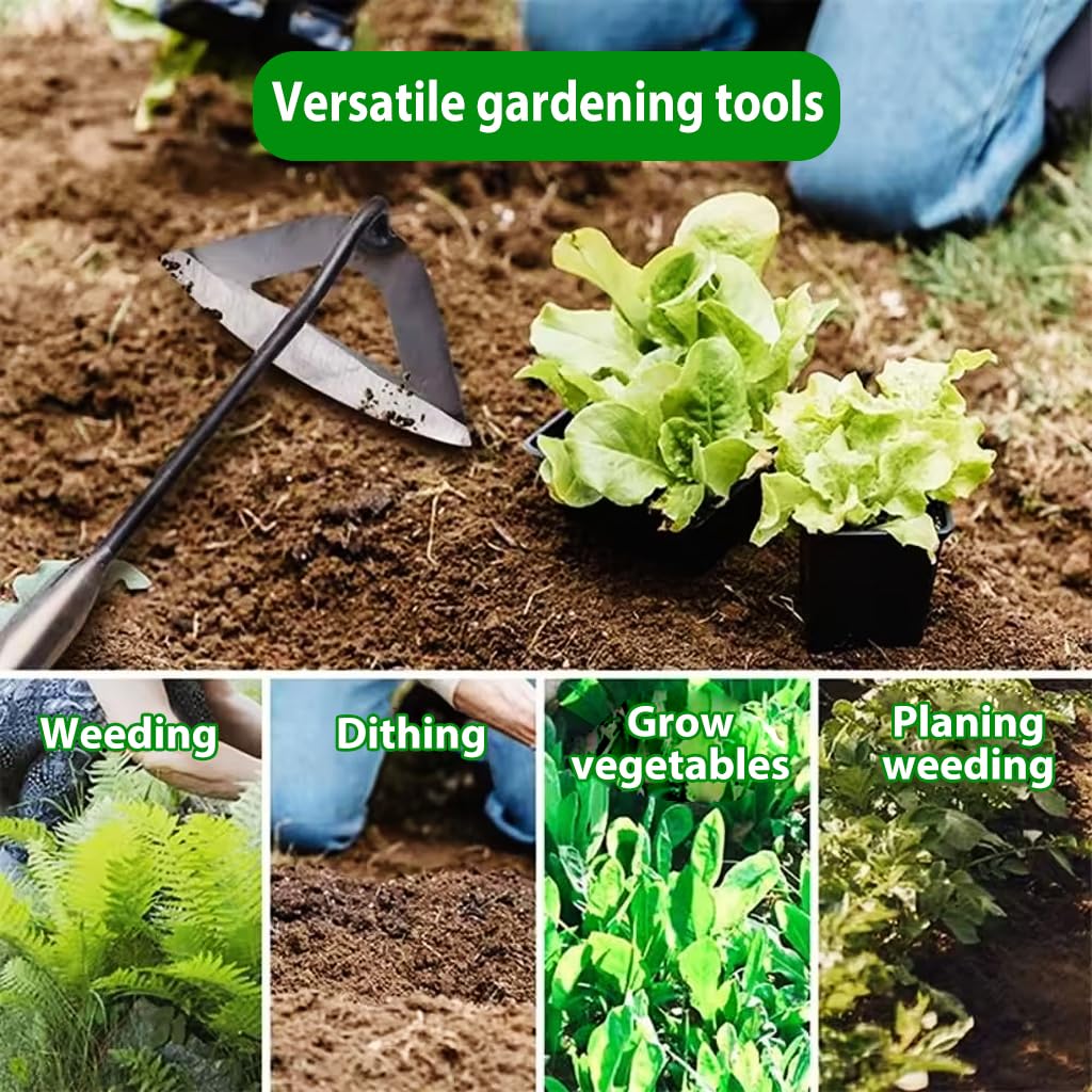 HASTHIP Weeder Hand Tool for Garden and Lawn with 6.3 in Wide Head and 11 in Handle | Iron Construction