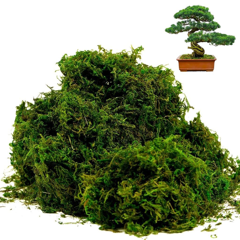 HASTHIP Artificial Moss for Crafts and Table Centerpieces featuring 100 g Cotton Green Decor | Low Maintenance Faux Moss for Potted Plants
