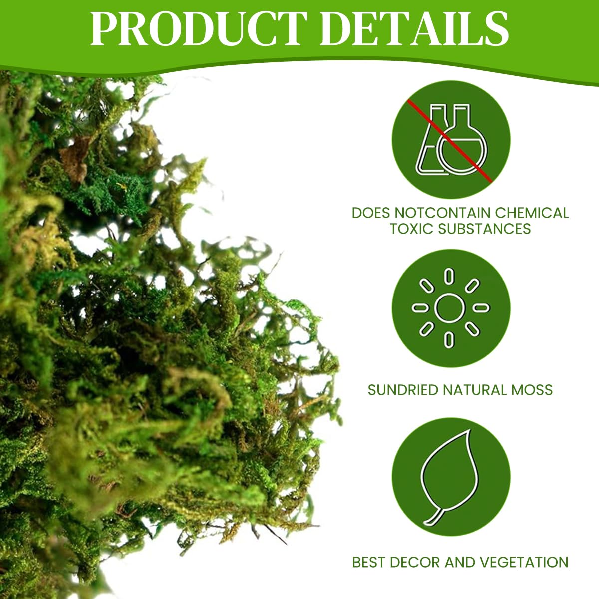 HASTHIP Realistic Moss for Planter Decoration with Lifelike Texture 200g Dark Green 2PCS