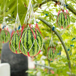 HASTHIP® 30pcs Melon Mesh Net Watermelon Net Watermelon Pouch Fishing Mesh Bag Drawstring Watermelon Net Fruit Mesh NetPoultry Mesh Net