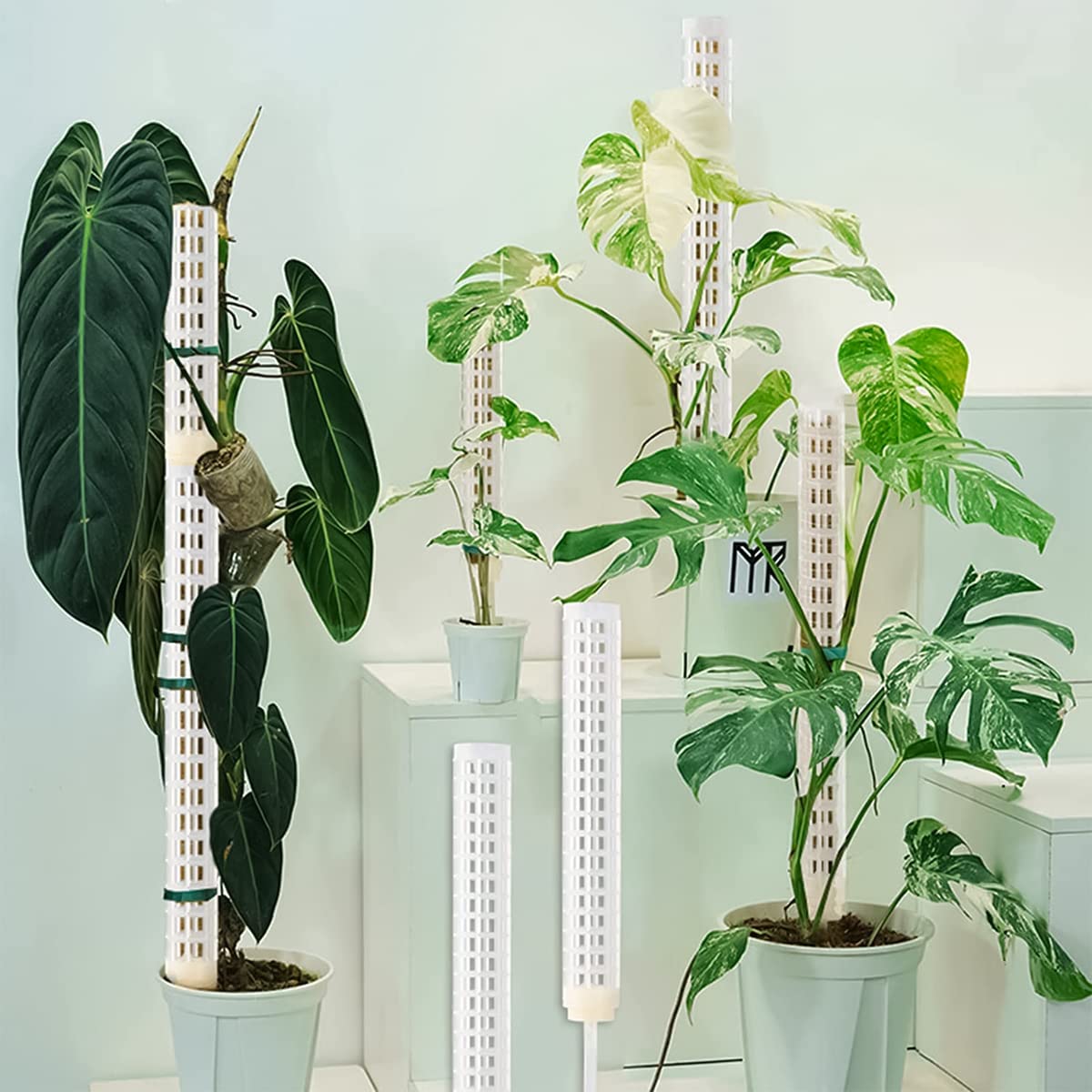 HASTHIP Moss Pole Stick for Climbing Plants with Fillable Design and Plastic Stakes | Includes 2 Poles