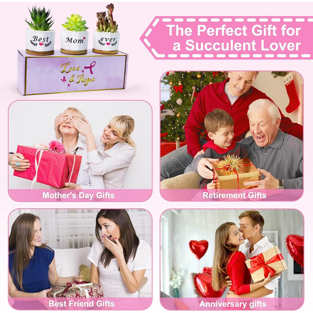 HASTHIP Ceramic Pots for Succulent Plants with Wooden Trays 3.1 in Set of 3 | Gift for Mum