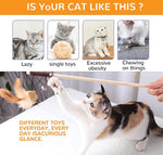 HASTHIP® Premium Cat Toy Interactive Cat Toys Set of 5 Cat Teaser Wand Pet Toy for Cat Activity Fishing Rod with Mouse Natural Feathers Cat Toys for Kittens to Play Cat Games and Toy Mouse Toy