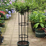 HASTHIP Metal Garden Trellis for Climbing Plants with Hollow Roof Design 95cm Height | Rust Proof Indoors and Outdoors