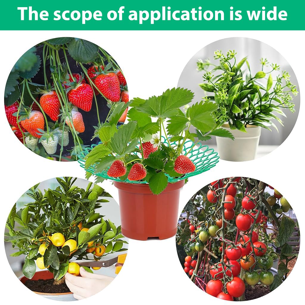 HASTHIP® Strawberry Suppoort 10.49 inches Diameter Plastic Strawberry Fruits Support Grid Support Strawberry Fruits Holder Fruits Support Rack Prevent Decay