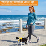HASTHIP®Dog Cat Harness and Leash Set, Fabric Webbing Puppy Harness with Matching Leash, Mini Zipper Pouch & Cute Yellow Flower Accent, for 2-5kg Small Dogs Cats, L & M (Yellow, M)