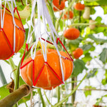 HASTHIP® 30pcs Melon Mesh Net Watermelon Net Watermelon Pouch Fishing Mesh Bag Drawstring Watermelon Net Fruit Mesh NetPoultry Mesh Net