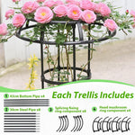 HASTHIP Garden Plant Support Trellis for Pots featuring 105cm Height and Hollow Roof Design