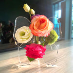 HASTHIP Clear Acrylic Butterfly Vase for Home and Office Decor | Hydroponic Flower Display
