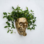 HASTHIP Halloween Skull Wall Planter for Garden Decor 12.5x19.5cm featuring Resin Body and Golden Finish | Gothic Room Accent