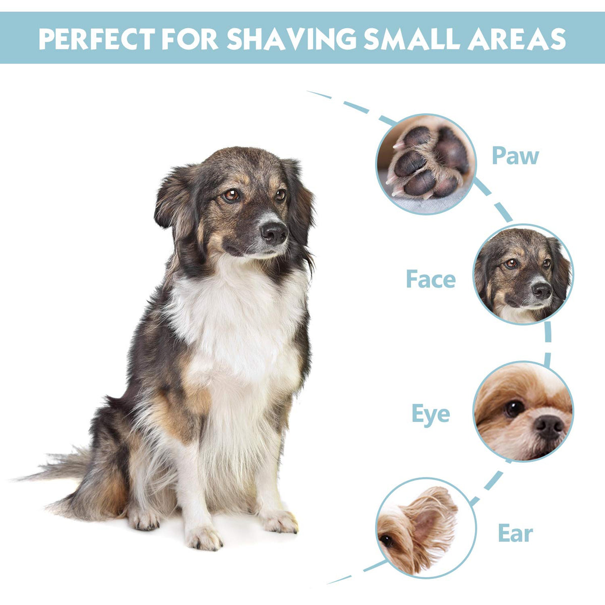 HASTHIP Dog Hair Trimmer for Paws with 2 Speed Low Noise Motor and Safe Ceramic Blade | Cordless USB Rechargeable Grooming Tool