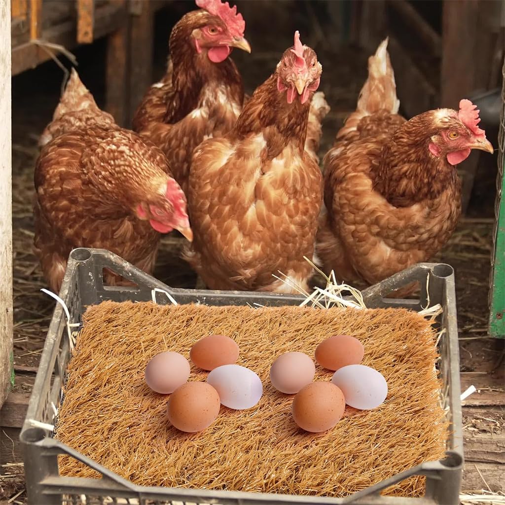HASTHIP Chicken Coop Mat for Nesting Boxes with Non Slip Backing 12cmx12cm | Reusable Grass Surface