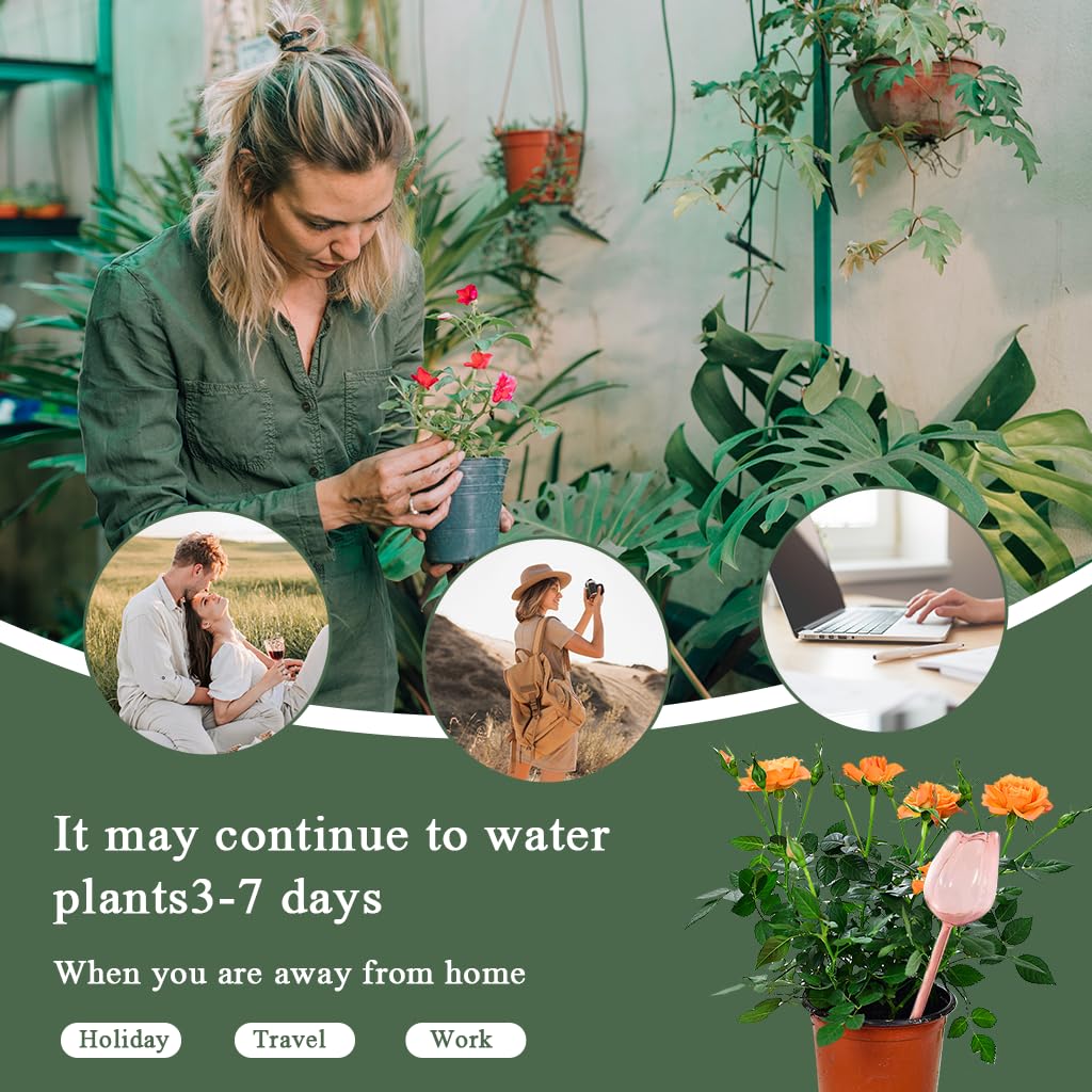 HASTHIP Tulip Waterers Pack of 4 for Indoor and Outdoor Plants featuring Automatic Self Watering Spike in Pink