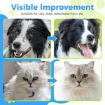 HASTHIP® 20 pair Pet Glove Wipes for Dogs