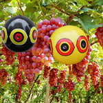 HASTHIP Bird Repelling Balloons for Gardens and Fruit Trees 3 pcs 40 cm | Visual Predator Eye Deterrent