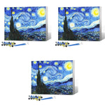 HASTHIP DIY Art Paint Kit by Number for Beginners with Pre Framed 15.7x19.6 in Canvas | Starry Night Painting Set
