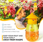HASTHIP Fruit Fly Trap for Outdoor Use with 4 Entry Design | 2 Pcs Reusable Wasp Catcher