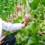HASTHIP® 30pcs Melon Mesh Net Watermelon Net Watermelon Pouch Fishing Mesh Bag Drawstring Watermelon Net Fruit Mesh NetPoultry Mesh Net