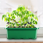 HASTHIP Plastic Seedling Germination Tray for Indoor Gardening with 12 Cell Drainage | 5Pcs Reusable Greenhouse Starter Kit
