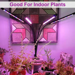 HASTHIP Grow Light for Indoor Plants with 80 LED Full Spectrum and 4 Flexible Arms | Clip-On Design