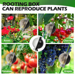 HASTHIP Plant Rooting Ball for Easy Indoor and Outdoor Propagation 12PCS | Reusable Plastic Grow Box
