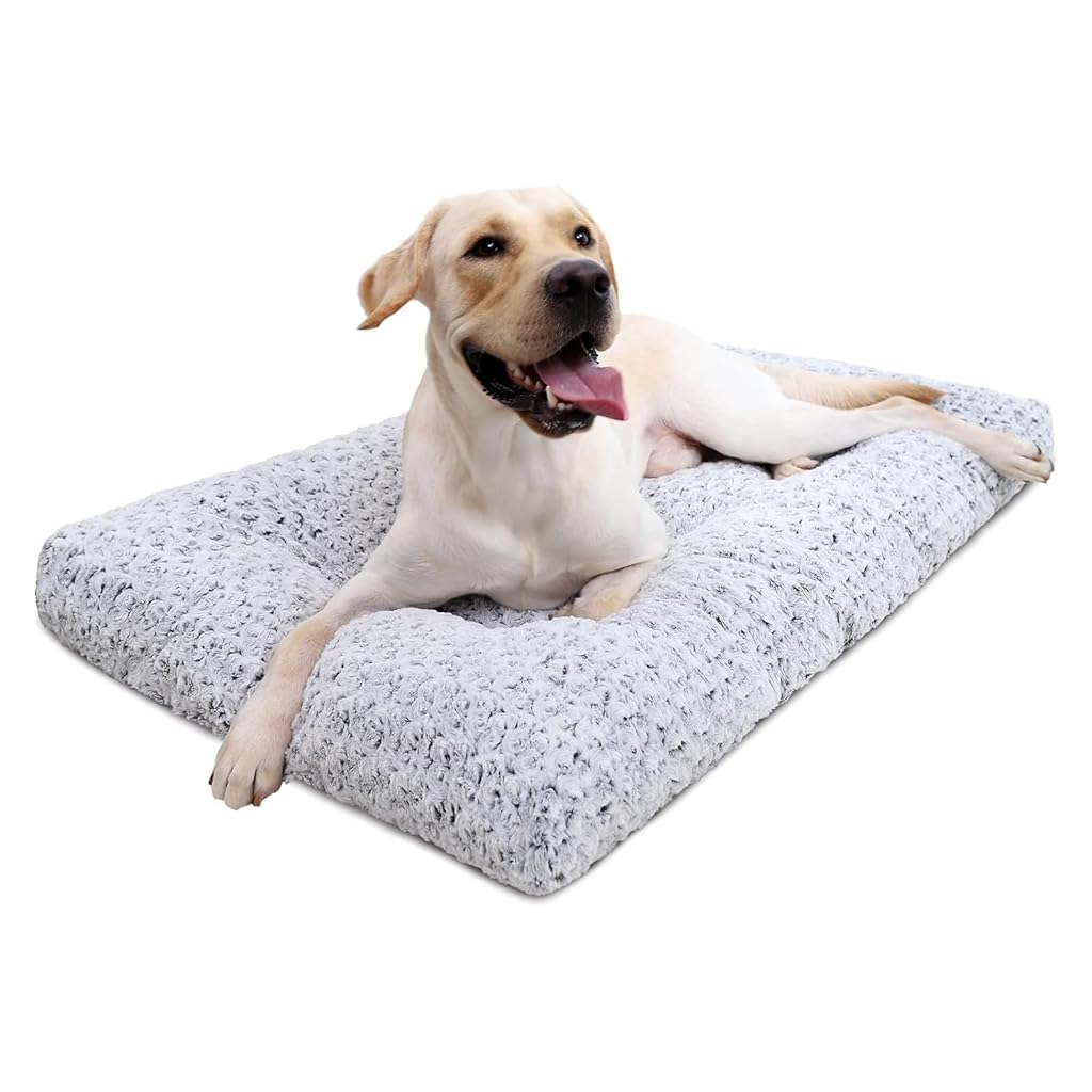 HASTHIP® Thermal Orthopedic Dog Bed
