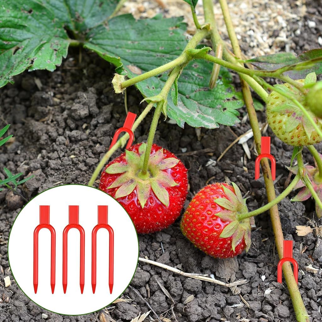 HASTHIP Plant Training Forks for Bonsai Tomato and Vine Support 100 Pcs 2 Inch Red Set