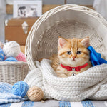 HASTHIP Cat Collar for Small and Medium Cats with Safety Breakaway Buckle and Bell | Adjustable 33.5 cm Red Velvet Strap