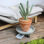HASTHIP Plant Pot Stand for Easy Plant Movement with Wheels featuring 26cm Round Caddy | Food Grade PP Resin