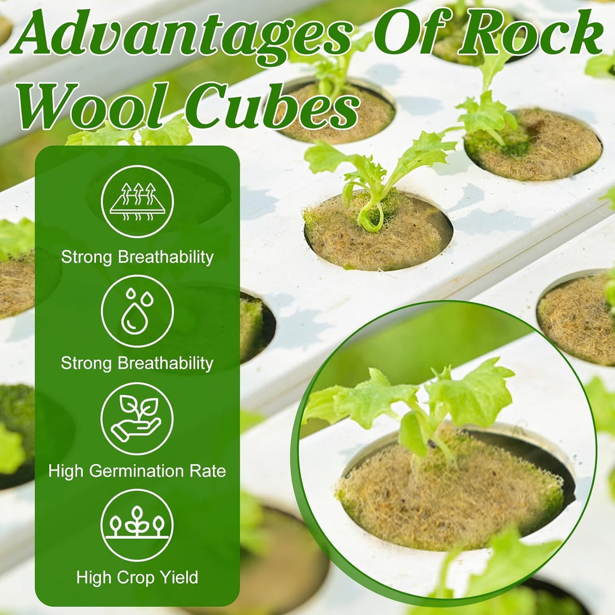 HASTHIP Seed Starter Rockwool Cubes for Hydroponics and Seedlings 100 pcs 0.98 in Cuttable Pads