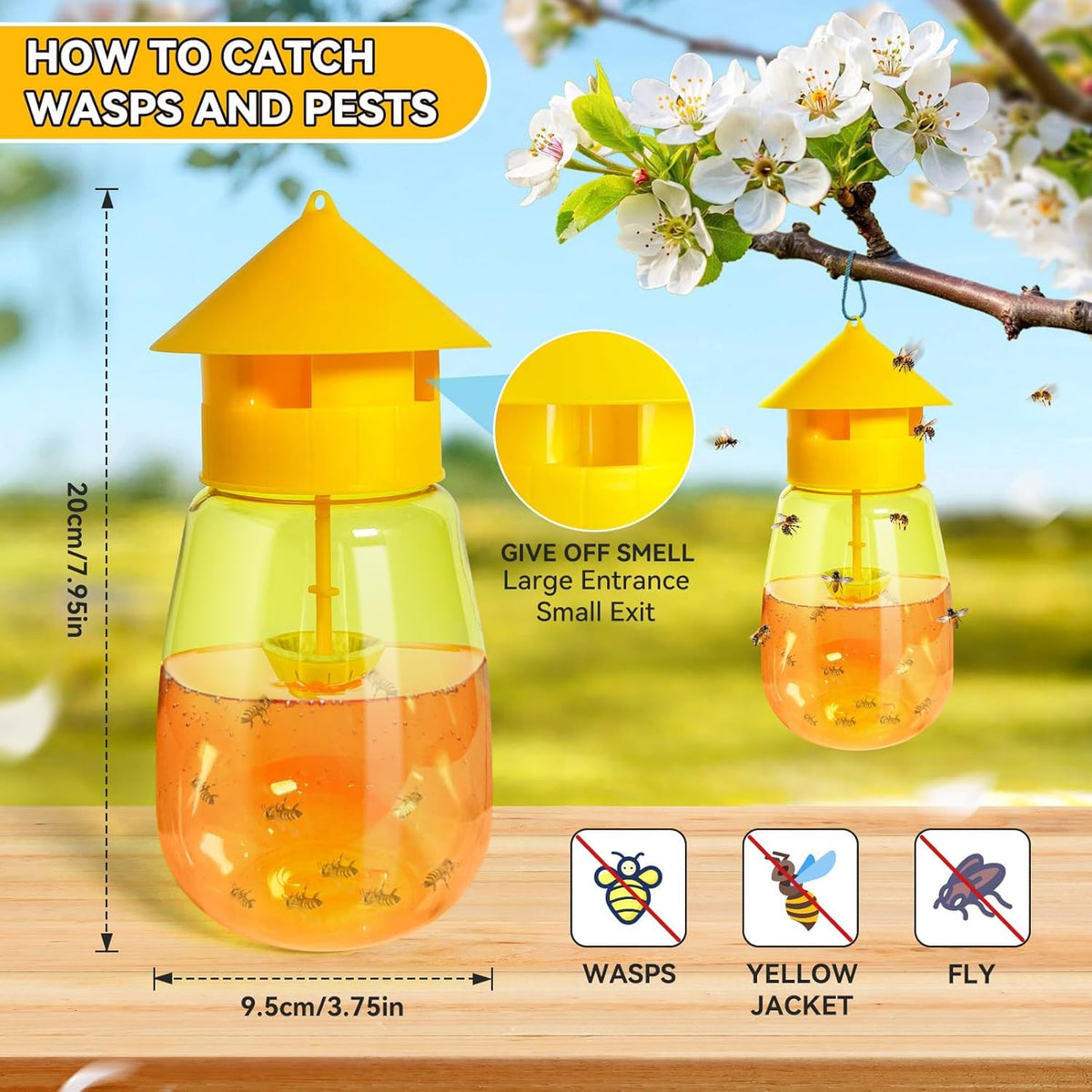 HASTHIP Fruit Fly Trap for Outdoor Use with 4 Entry Design | 2 Pcs Reusable Wasp Catcher