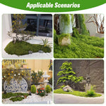 HASTHIP Artificial Moss for Planter Decoration and DIY Crafts featuring 100g Fresh Green Texture | Ideal for Terrariums and Fairy Gardens