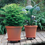 30cm Plant Pot Stand with Wheels, Thicken Heavy Movable Round Plant Caddy and Multipurpose Trolley for Plant Pot, Cylinder