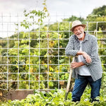 HASTHIP Plant Support Net for Climbing Plants with 5×30 ft Trellis Grid and UV‑Resistant Polypropylene
