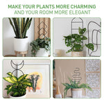 HASTHIP® Metal Trellis for Climbing Plant - 4Pcs Trellis for Potted Plants - Creeper Plant Support Decorative - Climbing Trellis for Plant Pots - Outdoor/Indoor Vines Plant Trellis for Flower Pot