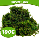 HASTHIP Artificial Moss for Crafts and Table Centerpieces featuring 100 g Cotton Green Decor | Low Maintenance Faux Moss for Potted Plants