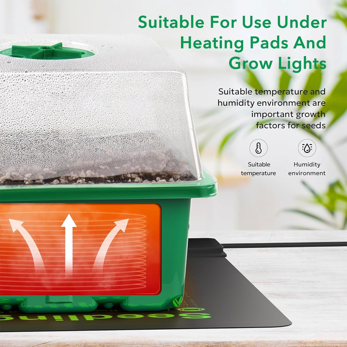 HASTHIP Plastic Seedling Germination Tray for Indoor Gardening with 12 Cell Drainage | 5Pcs Reusable Greenhouse Starter Kit