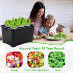 HASTHIP Hydroponic System Kit for Indoor Gardening with 6 Compartments and USB Air Pump | Black PP Grow Box